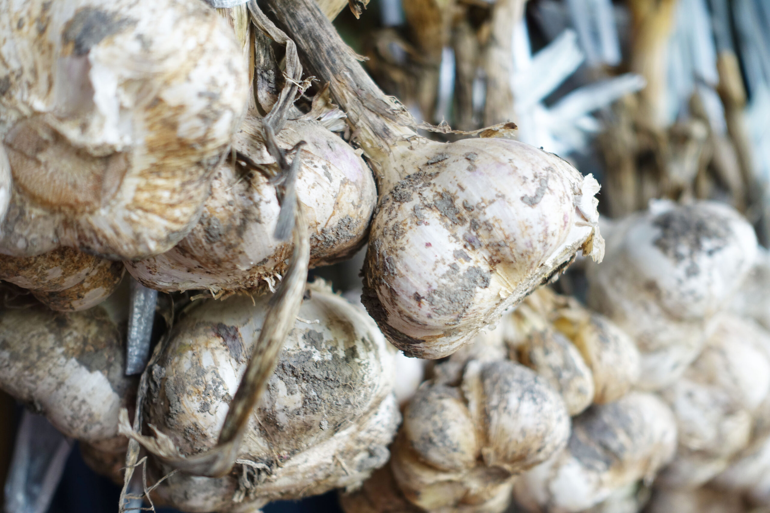 Ikkansya 豊かな暮らしを求めて