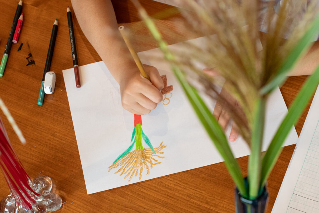 花瓶に入れたススキを見つめながら、お月見の絵を描く子ども