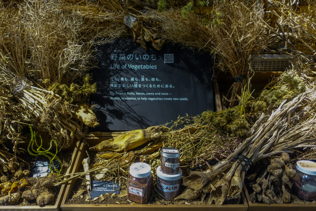 EARTHMARTのいのちのフロア内観。野菜のいのちの展示。花・実・葉・茎・根など、野菜が新しい種をつくるために存在することを表現