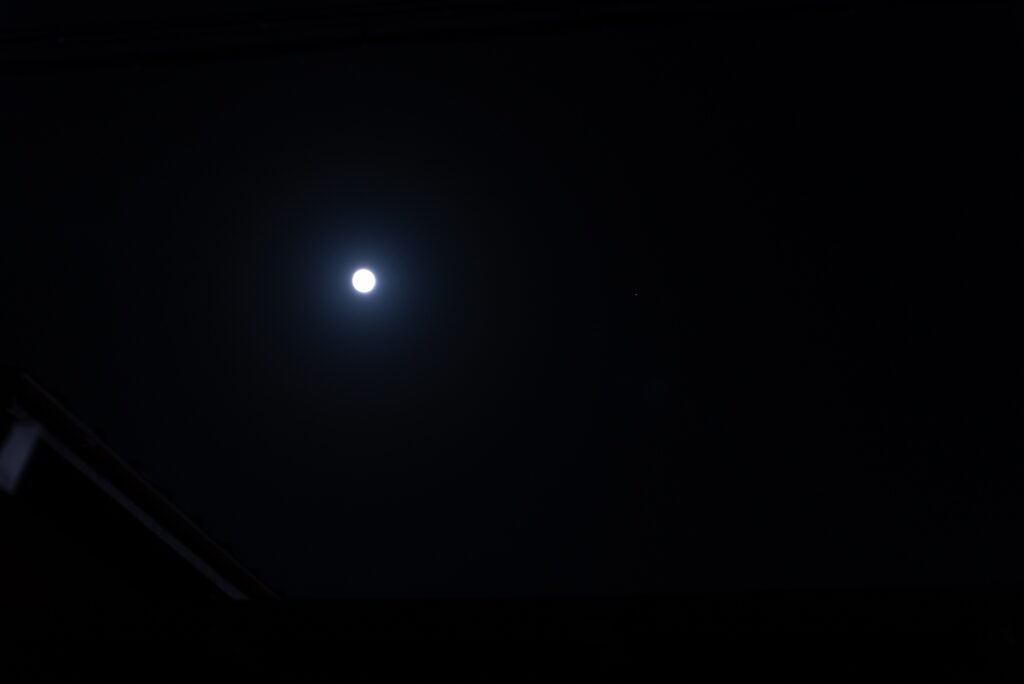 家族で見上げた中秋の名月。夜空にまん丸の月が輝き、庭のススキも月明かりに照らされています