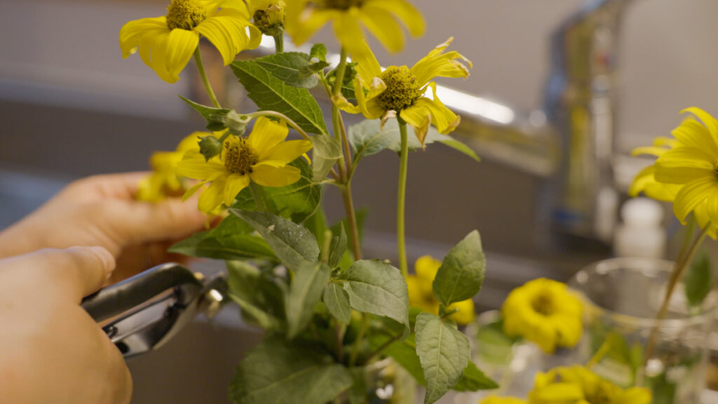 庭の花を摘んで花瓶に生ける